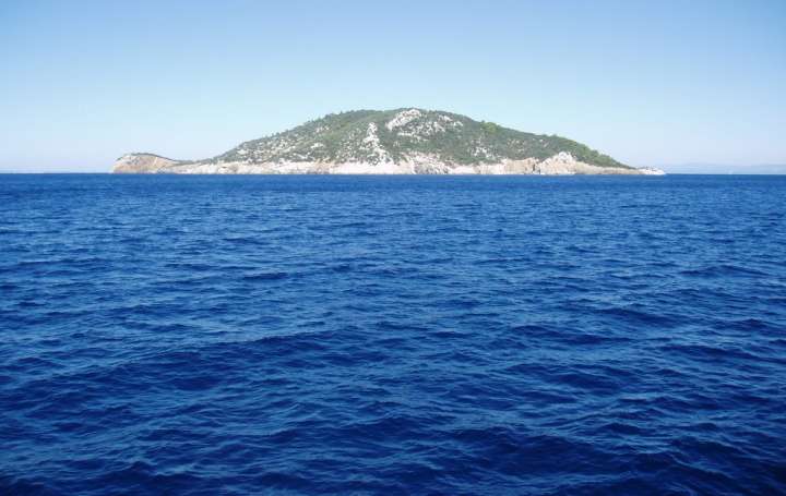 kornjaca